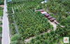 listing thumbnail image 9