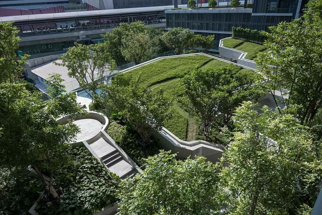 รูป 🏢 ให้เช่าคอนโด : Life Ladprao Valley (ไลฟ์ ลาดพร้าว แวลลีย์)   รหัสทรัพย์ | 📌LNP-C2276  - รูปที่ 3/20