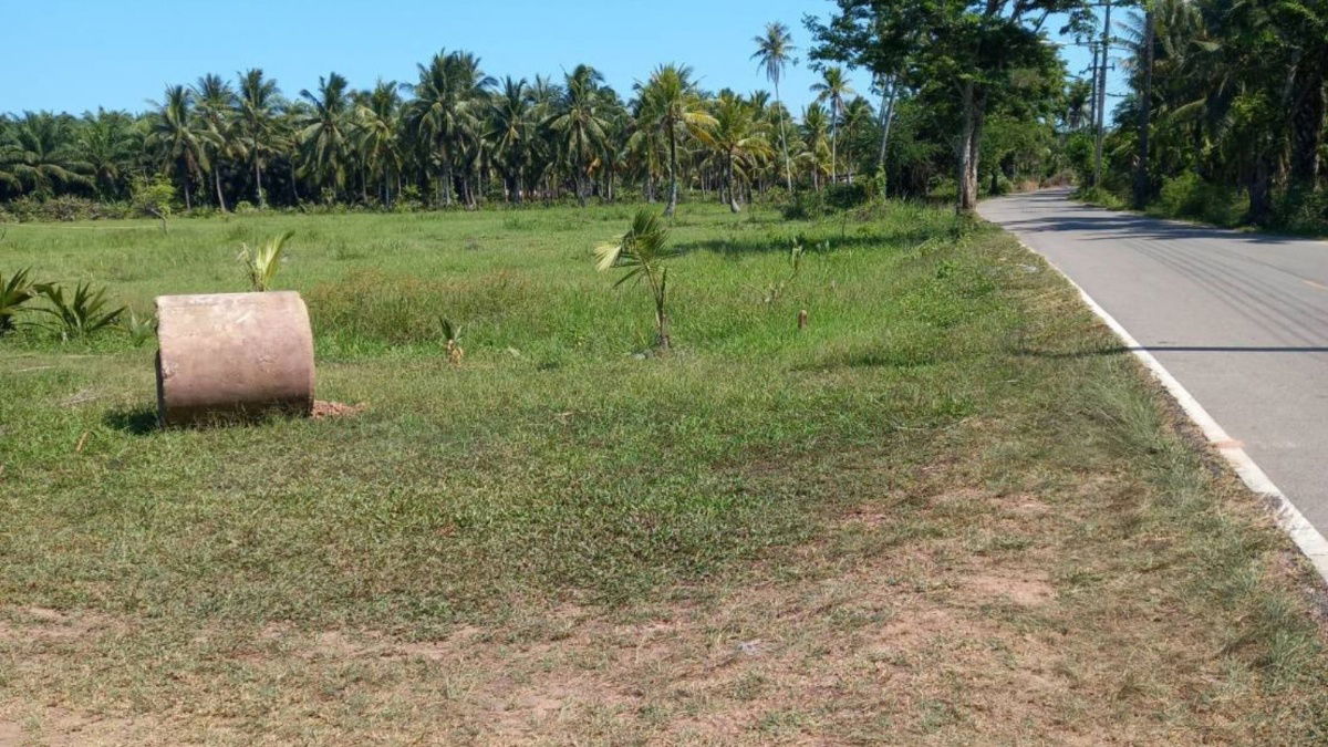 รูป ขายที่ดินเปล่าเหมาะลงทุน จ.ชุมพร - ห่างหาดเพียง 5 นาที! - รูปที่ 3/8