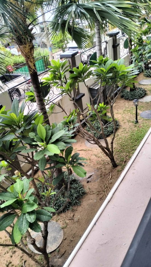 รูป คอนโดมิเนียม  NEW room ให้เช่าคอนโด อาคาเดีย บีช คอนติเนนทอล 1 ห้องนอน ใน หนองปรือ, พัทยา  - รูปที่ 12/34