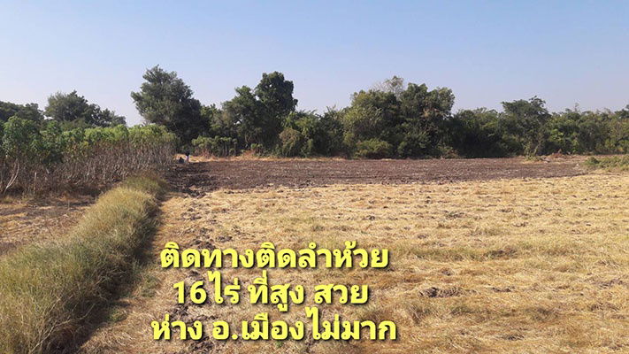 รูป ที่ดินเขตเมืองนครสวรรค์ ด้านหน้าติดทางราดยางด้านหลังติดลำห้วย 16ไร่ ราคาถูก - รูปที่ 2/4