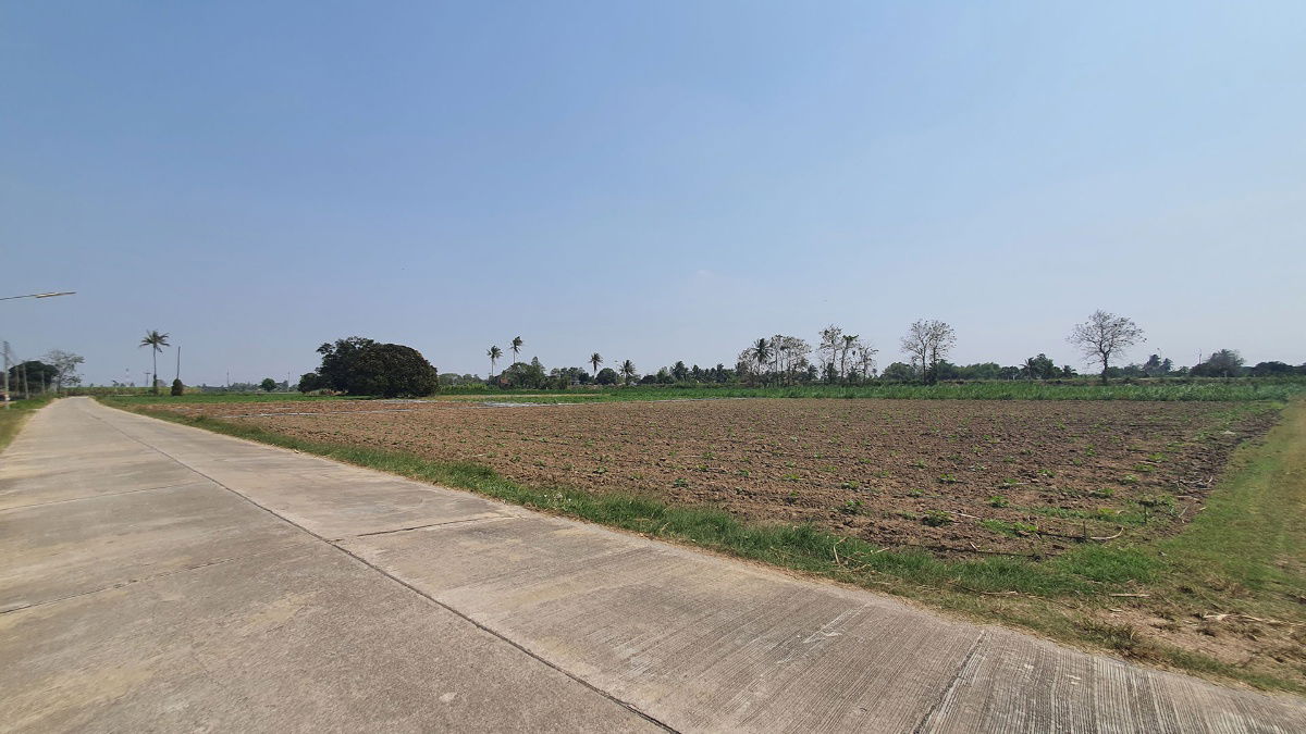 รูป ฮวงจุ้ยดี ทำเลเยี่ยม ที่สวย ราคาถูก ติดทาง 3 ด้าน ติดคลองชลประทานใหญ่ ที่ดินสูง - รูปที่ 4/5