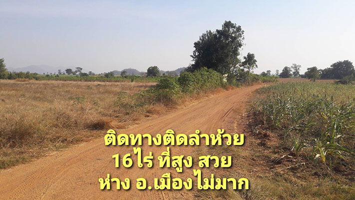 รูป ที่ดินเขตเมืองนครสวรรค์ ด้านหน้าติดทางราดยางด้านหลังติดลำห้วย 16ไร่ ราคาถูก - รูปที่ 1/4