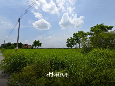 รูป ที่ดินในซอยบึงบอน3 อำเภอหนองเสือ ปทุมธานี - รูปที่ 13/16