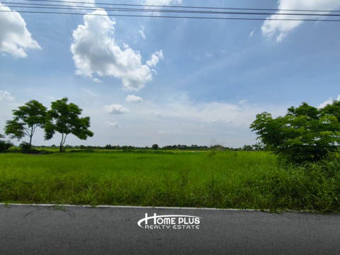 รูป ที่ดินในซอยบึงบอน3 อำเภอหนองเสือ ปทุมธานี - รูปที่ 12/16