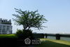 listing thumbnail image 57