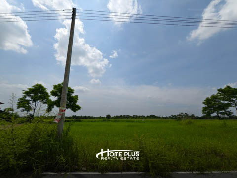 รูป ที่ดินในซอยบึงบอน3 อำเภอหนองเสือ ปทุมธานี - รูปที่ 16/16