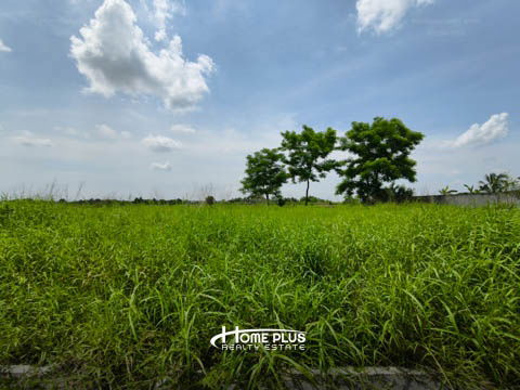 รูป ที่ดินในซอยบึงบอน3 อำเภอหนองเสือ ปทุมธานี - รูปที่ 14/16