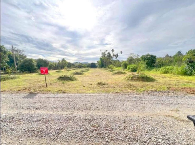 picture “Great Land. Stunning Views. Quick Returns. Buy today – enjoy nature and future profits!”  - 3/10