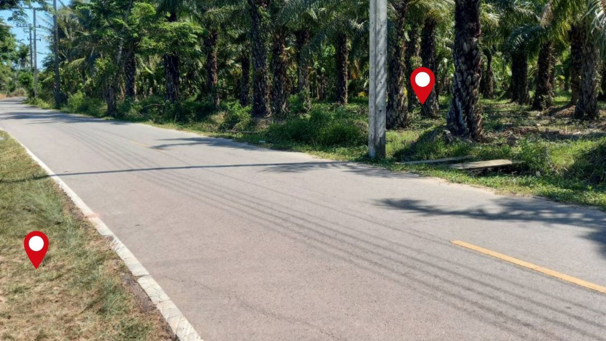 รูป ขายที่ดินเปล่าเหมาะลงทุน ท่ายาง จ.ชุมพร - 6 ไร่, 1 งาน, 96.7 ตร.ว. - รูปที่ 2/8