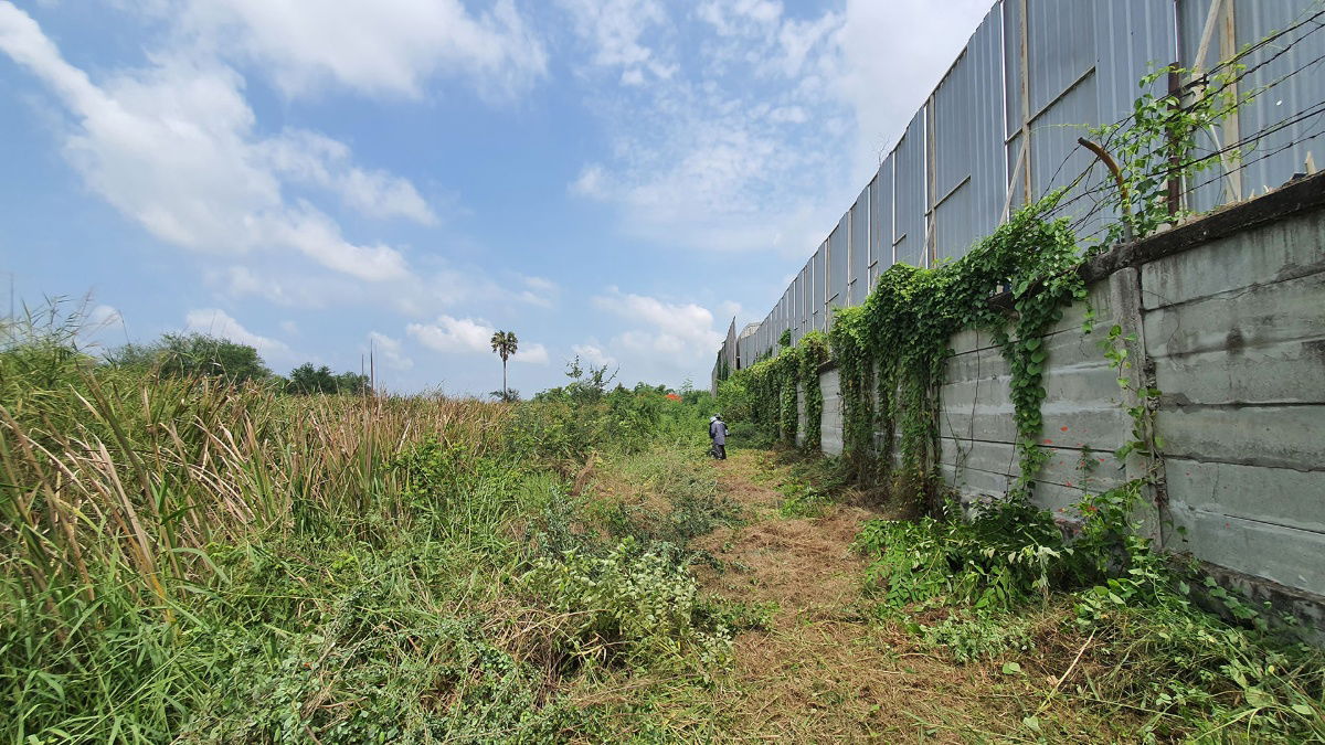 รูป ที่ดินโซน สร้างโรงงานได้ ที่ดินพร้อมบ้านสวน 12.3 ไร่ โซนเจริญ ห้างสรรพสินค้า ทั้งโลตัสและบิ๊กซี - รูปที่ 3/6