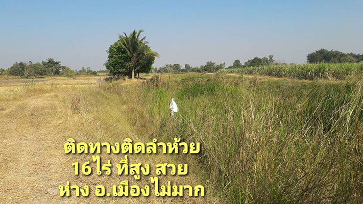รูป ที่ดินเขตเมืองนครสวรรค์ ด้านหน้าติดทางราดยางด้านหลังติดลำห้วย 16ไร่ ราคาถูก - รูปที่ 3/4