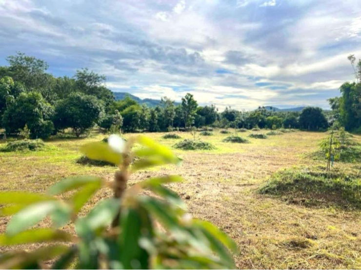 picture “Great Land. Stunning Views. Quick Returns. Buy today – enjoy nature and future profits!”  - 5/10