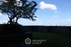 listing thumbnail image 28