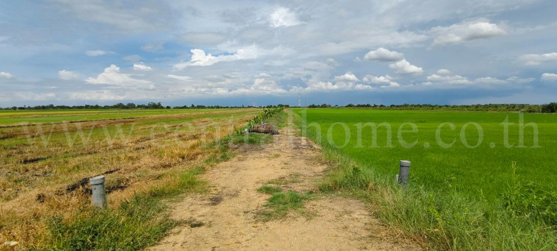 รูป ที่ดินเปล่า 4 ไร่ 28.3 ตร.วา บางเลน นครปฐม ราคาถูก - รูปที่ 9/10
