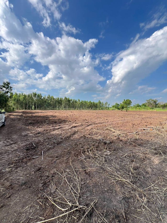 picture 💥 Land for Sale – Khlong 5, Khlong Luang District, Pathum Thani 💥 - 10/15