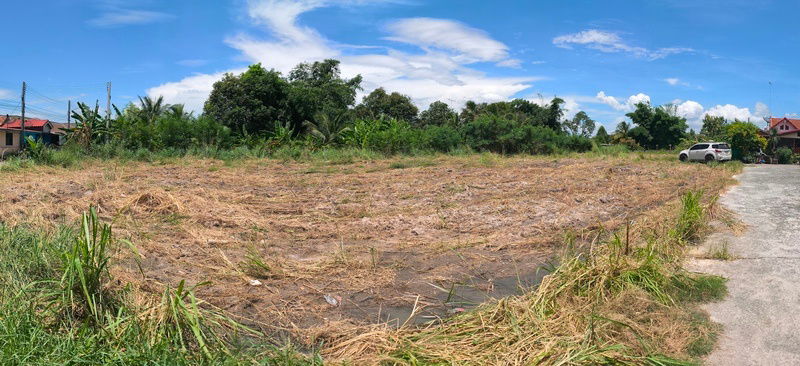 รูป ขายที่ดินตัวเมืองบ้านบึง 1ไร่ 46 ตร.ว ติด ถ.ซอยวัดบึงบน เหมาะทำทีพักอาศัย อพาร์ทเม้น ห้องเช่า ใกล้ถนนเส้น 344 บ้านบึง จ.ชลบุรี - รูปที่ 8/9