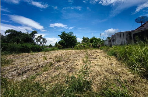 ขายที่ดินตัวเมืองบ้านบึง 1ไร่ 46 ตร.ว ติด ถ.ซอยวัดบึงบน เหมาะทำทีพักอาศัย อพาร์ทเม้น ห้องเช่า ใกล้ถนนเส้น 344 บ้านบึง จ.ชลบุรี
