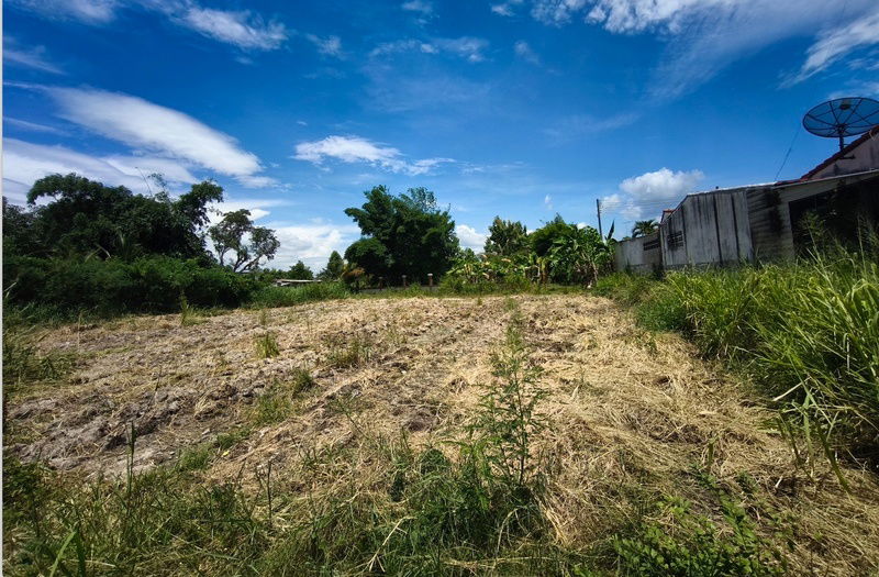 รูป ขายที่ดินตัวเมืองบ้านบึง 1ไร่ 46 ตร.ว ติด ถ.ซอยวัดบึงบน เหมาะทำทีพักอาศัย อพาร์ทเม้น ห้องเช่า ใกล้ถนนเส้น 344 บ้านบึง จ.ชลบุรี - รูปที่ 1/9