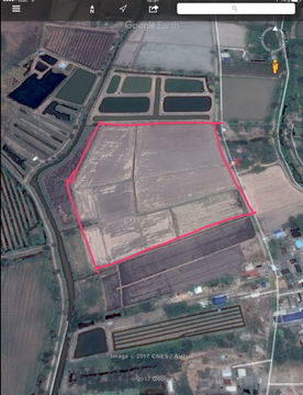 ขายที่สระบุรี 50 ไร่ หนองหมู วิหารแดง 