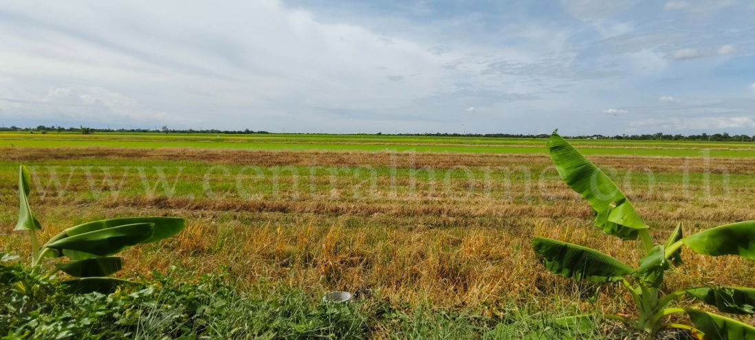 รูป ที่ดินเปล่า 4 ไร่ 28.3 ตร.วา บางเลน นครปฐม ราคาถูก - รูปที่ 7/10