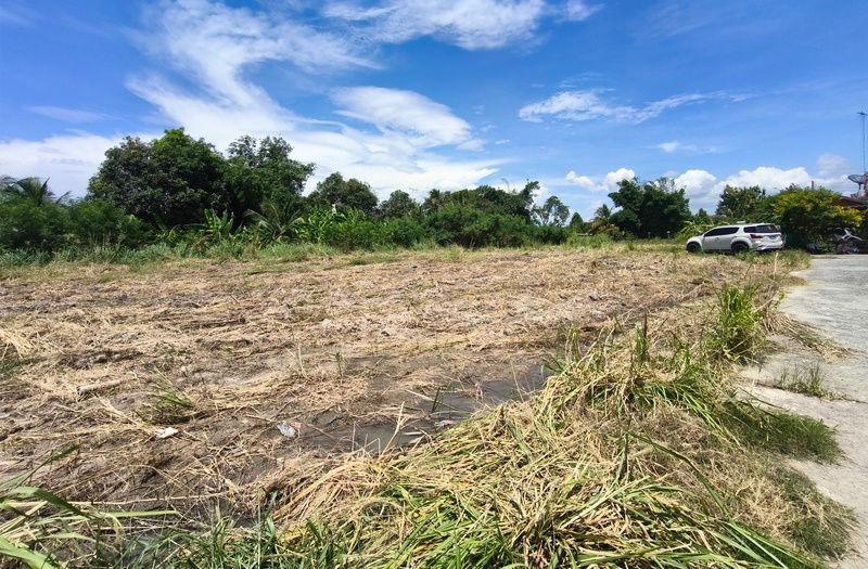 รูป ขายที่ดินตัวเมืองบ้านบึง 1ไร่ 46 ตร.ว ติด ถ.ซอยวัดบึงบน เหมาะทำทีพักอาศัย อพาร์ทเม้น ห้องเช่า ใกล้ถนนเส้น 344 บ้านบึง จ.ชลบุรี - รูปที่ 5/9