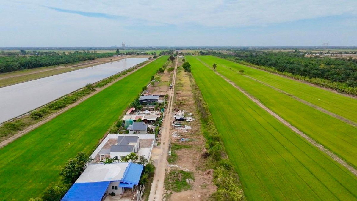 รูป ⭐️ขายที่ดินคลอง 8 หนองเสือ ปทุมธานี⭐️ - รูปที่ 14/14