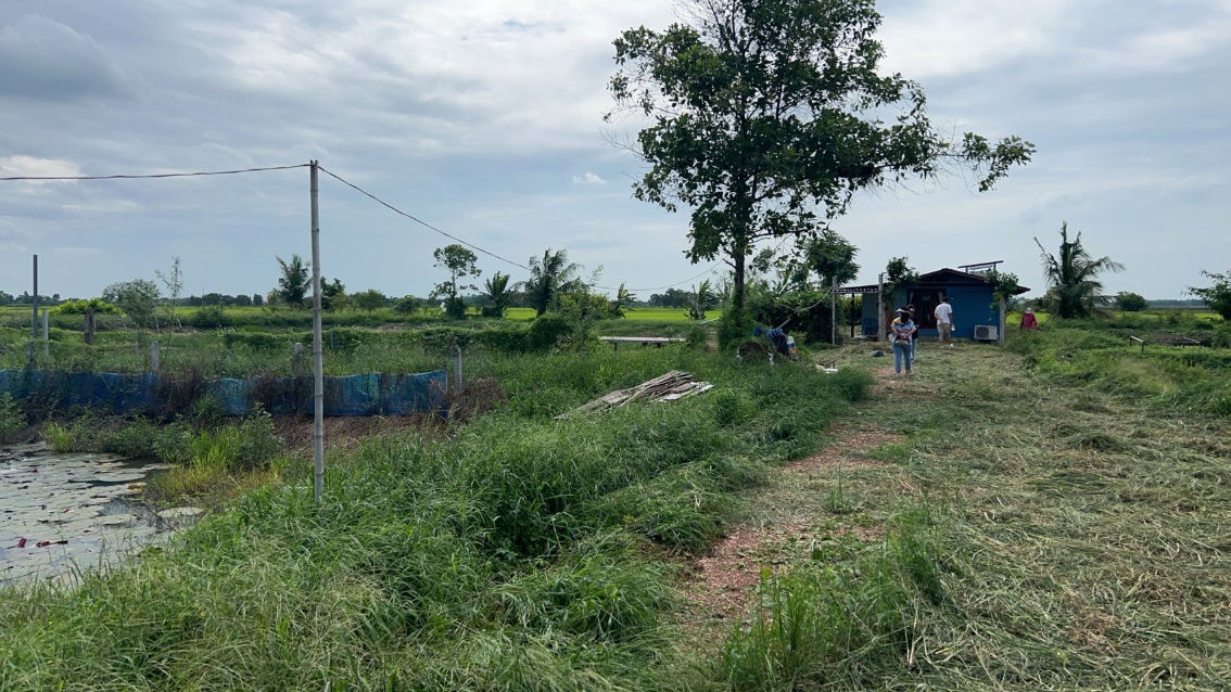 รูป ขายที่ดิน 6 ไร่ เศษ สร้างรายได้ เพิ่มอาชีพที่ 2 แถมบ้านน้อยปลายนา เหมาะทำการเกษตรพอเพียง พร้อมพักอาศัย พร้อมติดแผงโซล่าเซลล์ อำเภอเมืองนครนายก - รูปที่ 5/5