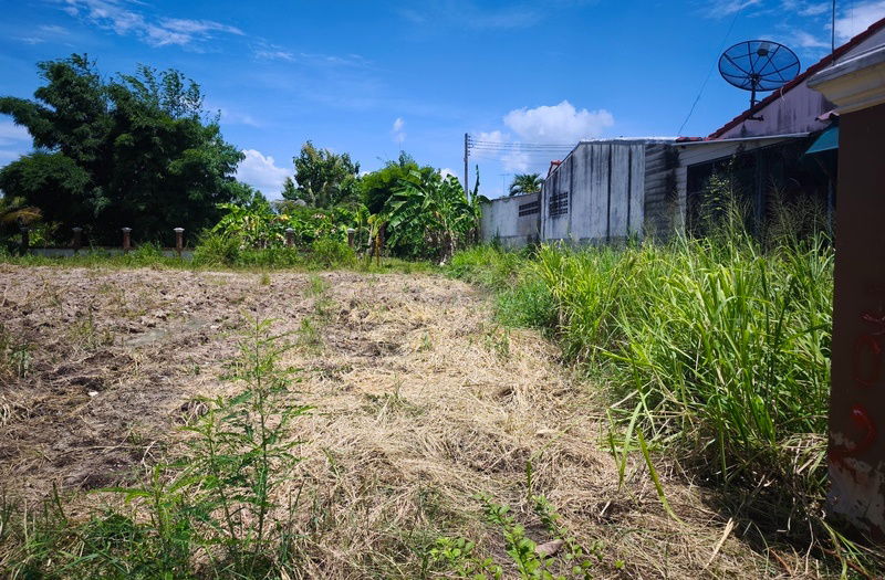 รูป ขายที่ดินตัวเมืองบ้านบึง 1ไร่ 46 ตร.ว ติด ถ.ซอยวัดบึงบน เหมาะทำทีพักอาศัย อพาร์ทเม้น ห้องเช่า ใกล้ถนนเส้น 344 บ้านบึง จ.ชลบุรี - รูปที่ 2/9