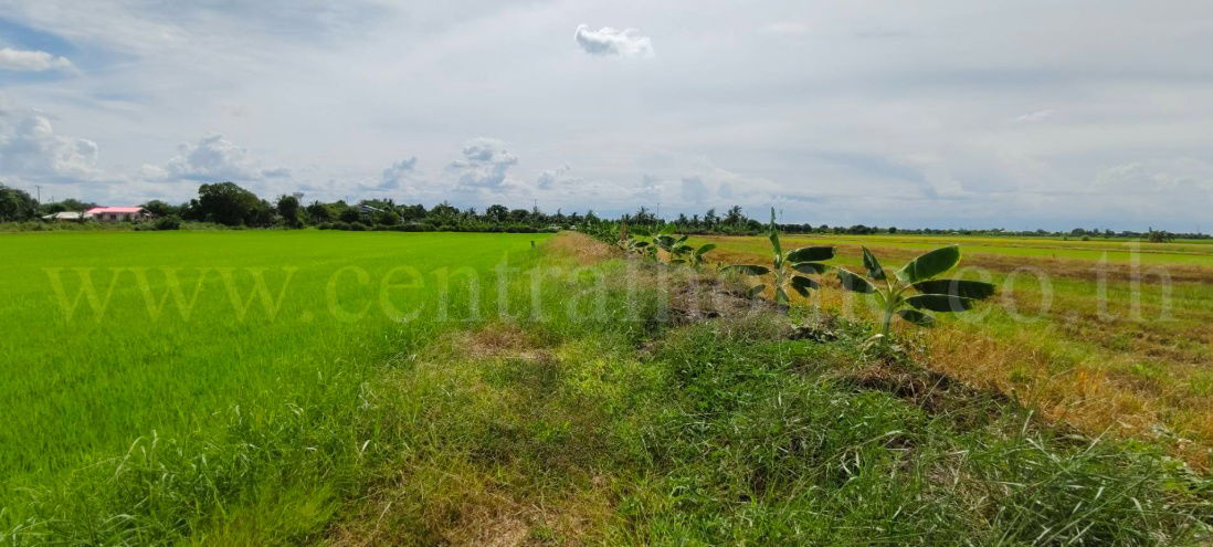 รูป ที่ดินเปล่า 4 ไร่ 28.3 ตร.วา บางเลน นครปฐม ราคาถูก - รูปที่ 3/10