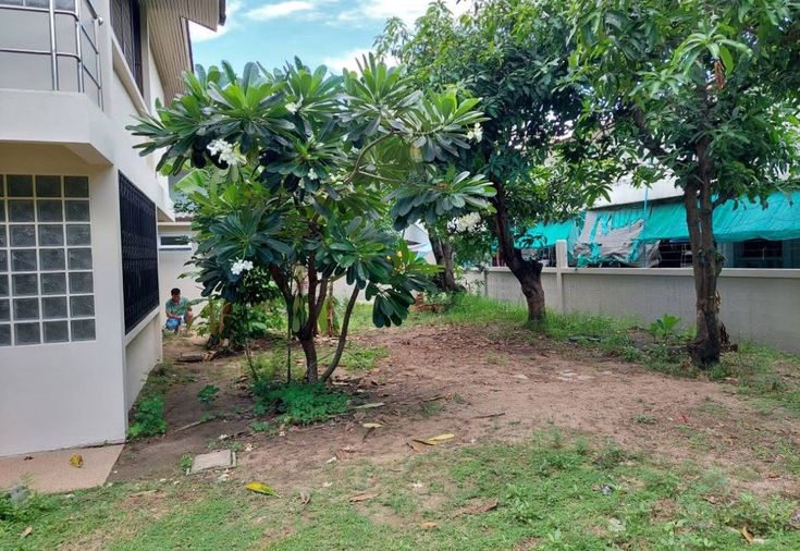 ให้เช่าบ้านเดี่ยว 3 ห้องนอน 300 ตร.ม. 143 ตร.ว. เขตบางกะปิ