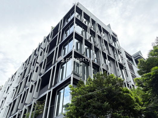 Project Siamese Gioia Picture - 5/32