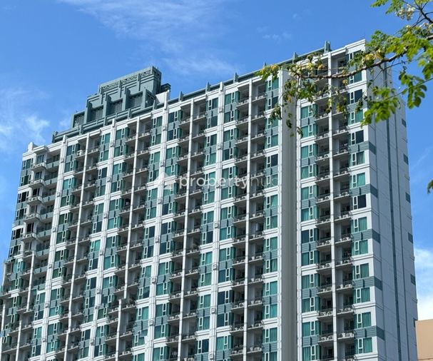 Ivy Thonglor