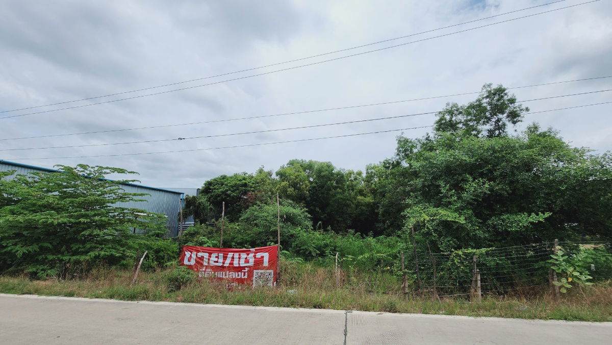 รูป ขายที่ดินปทุม 10ไร่ 1งาน 84ตรว ที่สวยเหมาะเพื่อการจัดสรร ทำหมู่บ้าน หรือ โรงงาน/โกดัง - รูปที่ 6/7