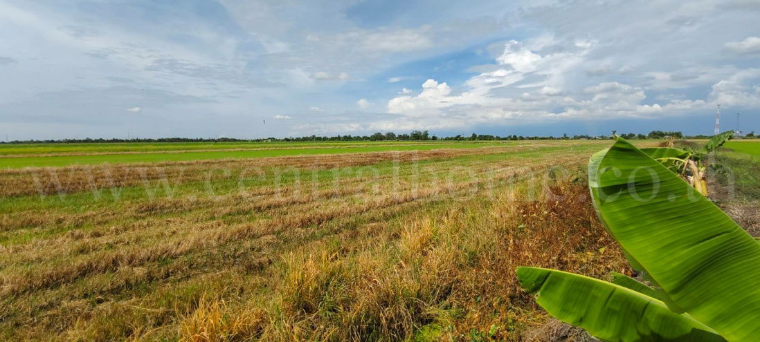 รูป ที่ดินเปล่า 4 ไร่ 28.3 ตร.วา บางเลน นครปฐม ราคาถูก - รูปที่ 5/10
