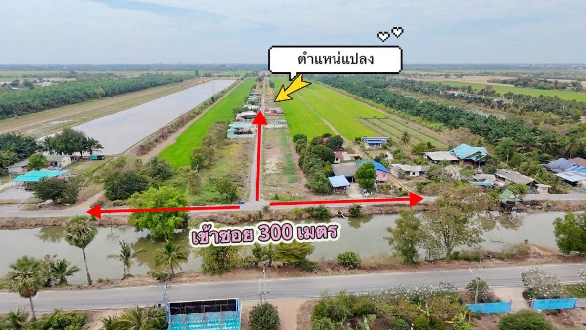 รูป ⭐️ขายที่ดินคลอง 8 หนองเสือ ปทุมธานี⭐️ - รูปที่ 2/14