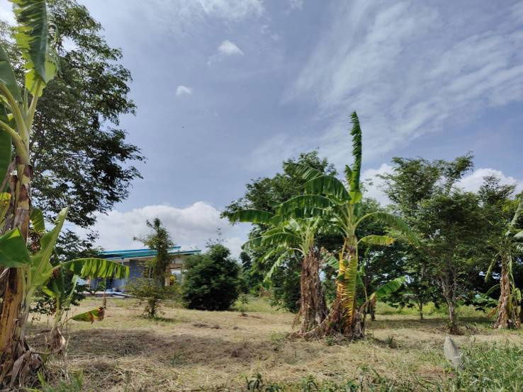 picture House for sale with land, located in a community, water and electricity ready, Lao Khwan District, Kanchanaburi Province - 11/12