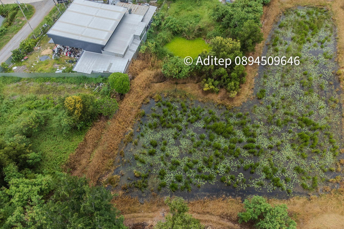 picture Urgent sale! Vacant land 317 sq.w. Khlong Yong-Phutthamonthon, good price close to appraisal price, near Mahidol, Salaya - 11/17