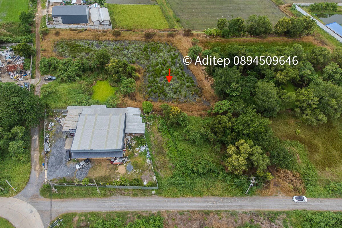 picture Urgent sale! Vacant land 317 sq.w. Khlong Yong-Phutthamonthon, good price close to appraisal price, near Mahidol, Salaya - 7/17