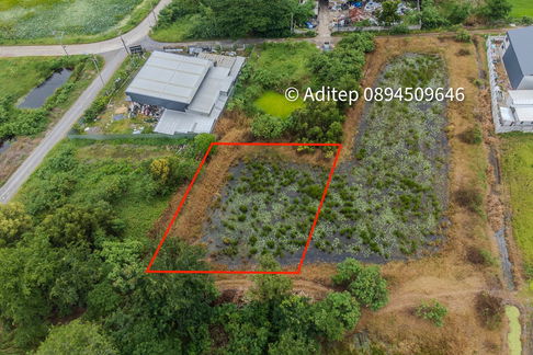 Urgent sale! Vacant land 317 sq.w. Khlong Yong-Phutthamonthon, good price close to appraisal price, near Mahidol, Salaya