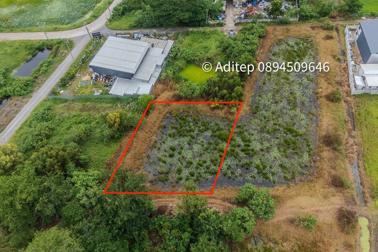 ขายด่วน! ที่ดินเปล่า 317 ตร.ว. คลองโยง-พุทธมณฑล ราคาดีใกล้เคียงราคาประเมิน ใกล้มหิดล ศาลายา เดินทางเข้ากรุงเทพาะดวก!