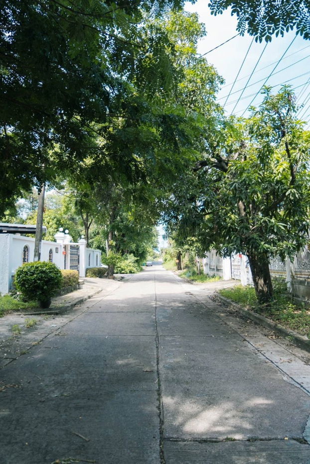 รูป ขาย ที่ดิน 195 ตร.ว. หมู่บ้านเรืองอนันต์  ซอย เพรชเกษม 64 บางเเค  - รูปที่ 14/17