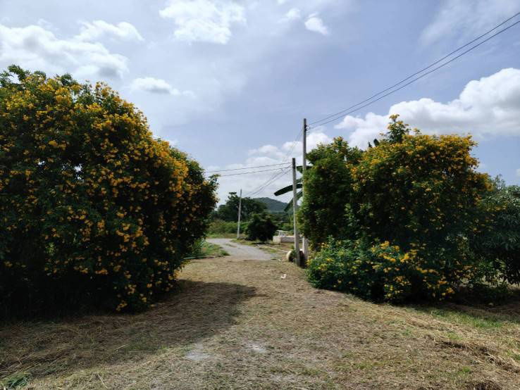 picture House for sale with land, located in a community, water and electricity ready, Lao Khwan District, Kanchanaburi Province - 10/12