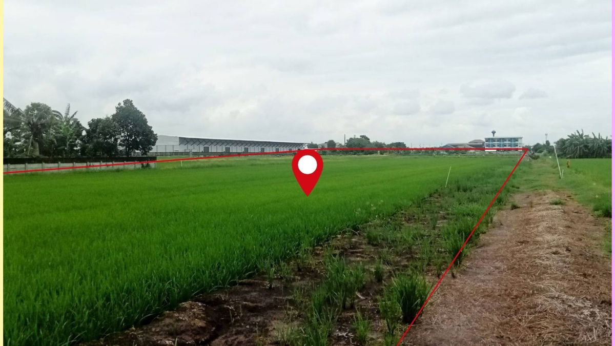 รูป หายาก! ที่ดินแปลงใหญ่ 3-3-39.4 ไร่ ลำลูกกา คลอง6 หน้ากว้างพิเศษ ใกล้ถนน4เลน ราคาน่าลงทุน! - รูปที่ 7/9