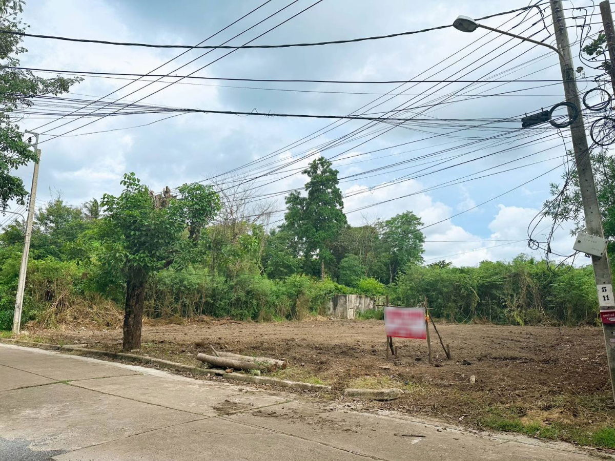 รูป ขาย ที่ดิน 195 ตร.ว. หมู่บ้านเรืองอนันต์  ซอย เพรชเกษม 64 บางเเค  - รูปที่ 8/17