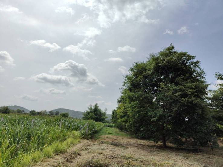 picture House for sale with land, located in a community, water and electricity ready, Lao Khwan District, Kanchanaburi Province - 6/12