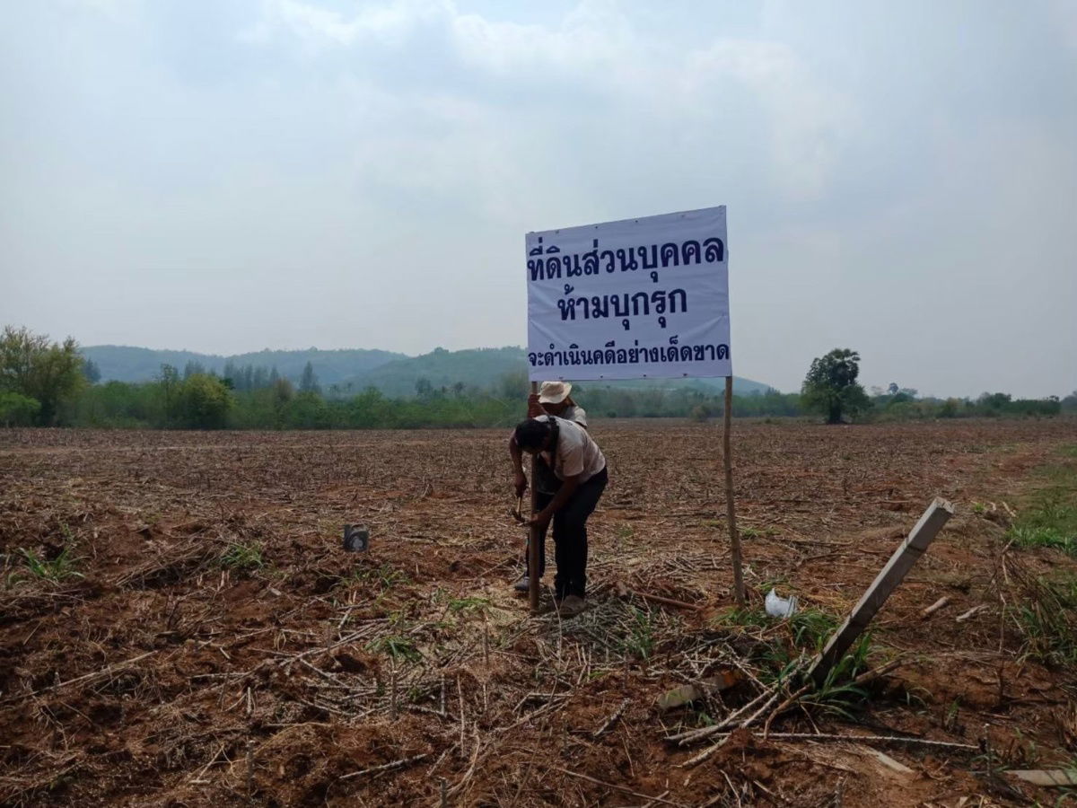 รูป ขายที่ดินทำเลทอง เขาใหญ่ หนองสาหร่าย 50 ไร่ ราคาไร่ละ 1.5 ล้านบาทเท่านั้น ที่ดินครุฑแดง  - รูปที่ 5/7