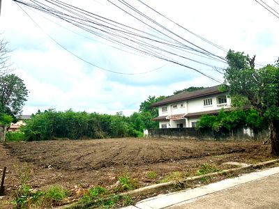 ที่ดิน เขตบางแค : ขาย ที่ดิน 195 ตร.ว. หมู่บ้านเรืองอนันต์  ซอย เพรชเกษม 64 บางเเค 