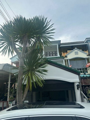 picture Town House For Sale Garden Palm Village Nakhon Pathom - 2/8