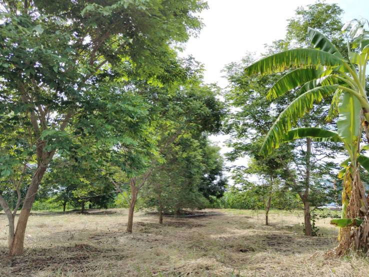 picture House for sale with land, located in a community, water and electricity ready, Lao Khwan District, Kanchanaburi Province - 5/12